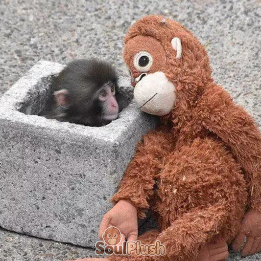 SoulPlush: Orang-Utan Plüschtier